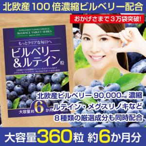 サプリ サプリメント ビルベリー ルテイン 北欧産 100倍濃縮 大容量 約６ヶ月分 90000mg ブルーベリー アントシアニン ポリフェノール アイブライト ネコポス