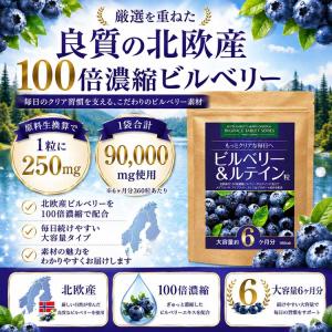 ブルーベリー サプリ アントシアニン ルテイン...の詳細画像3