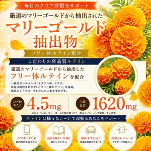 ブルーベリー サプリ アントシアニン ルテイン...の詳細画像4