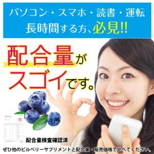 ブルーベリー サプリ ビルベリー ルテイン カ...の詳細画像1