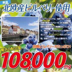 ブルーベリー サプリ ビルベリー ルテイン カ...の詳細画像2