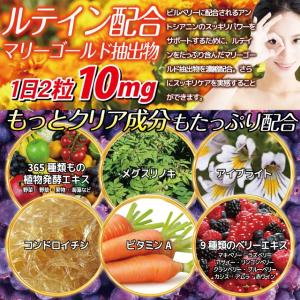 ブルーベリー サプリ ビルベリー ルテイン カ...の詳細画像3