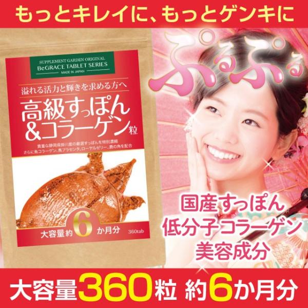 すっぽん サプリ サプリメント 女性 コラーゲン 国産 高配合 約６ヶ月分 低分子フィッシュ コラー...