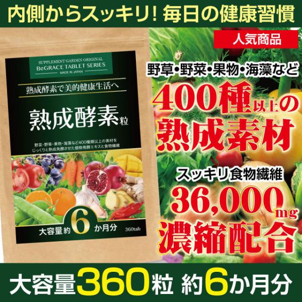 ヤフオク専用 酵素 サプリ ファスティング 置き換え 熟成 野草 植物発酵エキス 食物繊維 約６ヶ月...