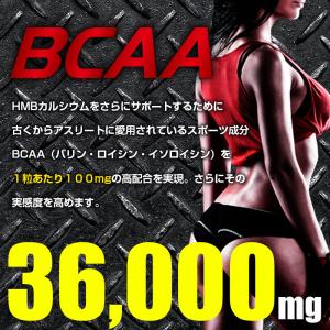 HMB BCAA サプリ ダイエット アミノ酸...の詳細画像3