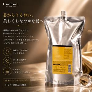 IAU（ルベル） ルベル イオ セルケア システムトリートメント 1+2+3M+4