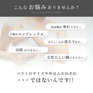 ブラジャー ショーツ セット 育乳 バストアッ...の詳細画像5
