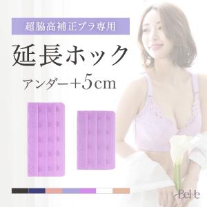 ブラジャーホック ブラジャー 延長ホック 脇高ブラ用 フック ホック 4段 5段 ほっく ふっく フック｜BeHe(ベーエ)Yahoo!店
