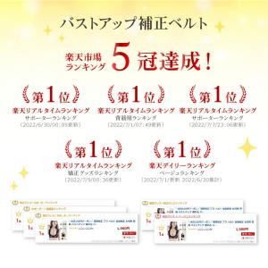 姿勢矯正 インナー 猫背矯正 ブラ ベルト 女...の詳細画像1