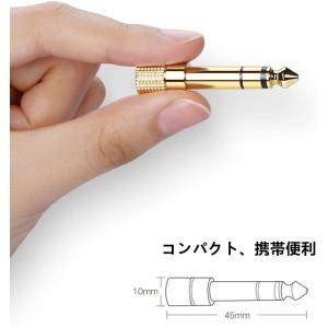 ステレオ 標準プラグ イヤホン ミニプラグ 金...の詳細画像1