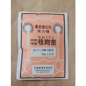 種麹　２５ｇ　種麹菌　白麹