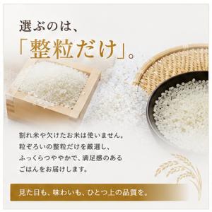 【在庫処分】大分県産コシヒカリ10kg 研ぐお...の詳細画像2