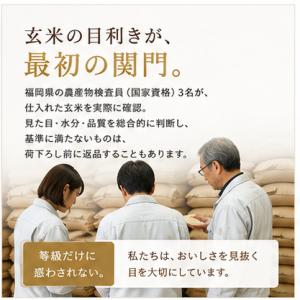 【在庫処分】大分県産コシヒカリ10kg 研ぐお...の詳細画像3