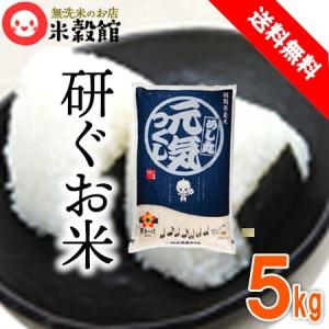 5kg 無洗米 福岡の新しいお米「元気つくし」 送料無料 一般米※ 令和7