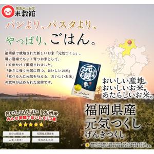 米10kg めし丸 元気つくし 福岡県産 5k...の詳細画像1