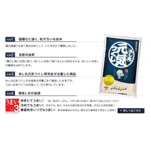 米10kg めし丸 元気つくし 福岡県産 5k...の詳細画像2