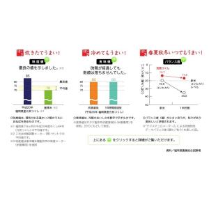 米10kg めし丸 元気つくし 福岡県産 5k...の詳細画像5