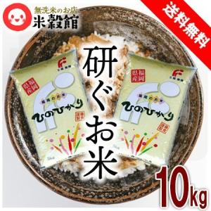 5kg 無洗米 福岡の新しいお米「元気つくし」 送料無料 一般米※ 令和7