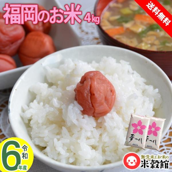 米4kg 無洗米 送料無料 福岡県産 夢つくし 無洗米 令和5年産 2kg×2個セット