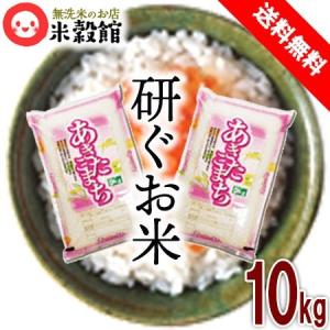 5kg 無洗米 福岡の新しいお米「元気つくし」 送料無料 一般米※ 令和7