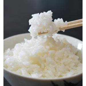 令和7年産 あきたこまち 5kg(5kg×1個...の詳細画像3