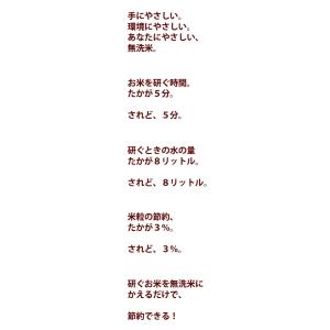 令和7年産 あきたこまち 5kg(5kg×1個...の詳細画像4
