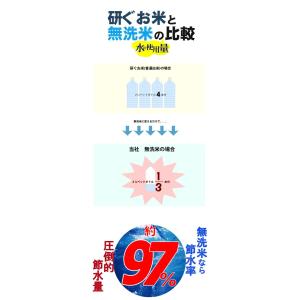 令和7年産 あきたこまち 5kg(5kg×1個...の詳細画像5