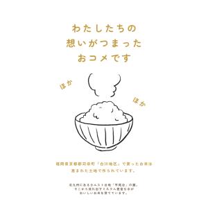 令和7年産 福岡県産 夢つくし 研ぐお米のみ ...の詳細画像2