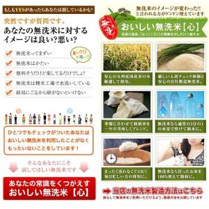 【令和7年産】米10kg 無洗米「心」 九州産...の詳細画像2