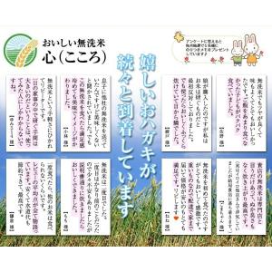 【令和7年産】米10kg 無洗米「心」 九州産...の詳細画像3