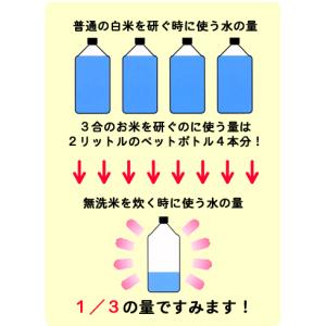 【令和7年産】米10kg 無洗米「心」 九州産...の詳細画像4