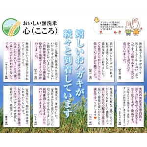 米 10kg 無洗米 小分け 2kg5個 九州...の詳細画像4