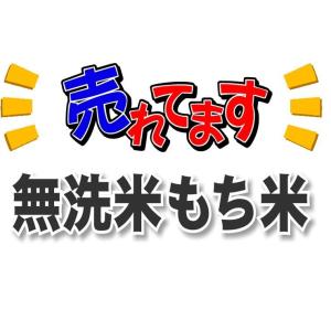 令和7年産 もち米 1kg 無洗米 送料無料 ...の詳細画像2