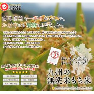 令和7年産 無洗米 もち米1kg 送料無料 研...の詳細画像1