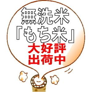 令和7年産 無洗米 もち米1kg 送料無料 研...の詳細画像3