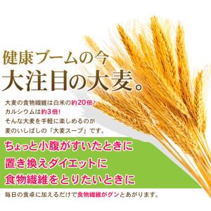 麦 押し麦 九州産押麦 800g 麦ご飯 石橋...の詳細画像1