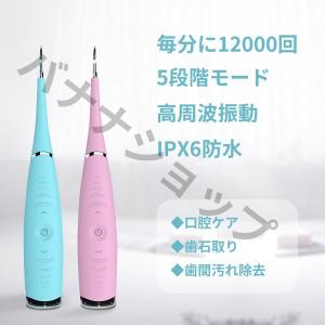 歯用ツール 超音波デンタルクリーナー 歯石取り器具 口腔洗浄器 歯石取りスクレバー 歯石除去 口腔ケア 口臭防止 歯周病予防 超音波スケーラー