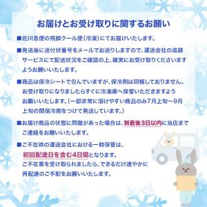 アイスクリーム ハーゲンダッツ パイントバニラ...の詳細画像3