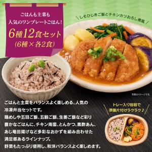 ニップン よくばり御膳 ごはん付き冷凍弁当 6...の詳細画像1