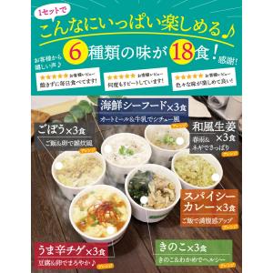 チュチュル ヘルシースタイル雑炊 72食の詳細画像5