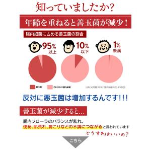 チュチュル アルロース珈琲+生きてる酪酸菌 60食の詳細画像2