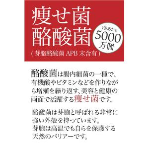 チュチュル アルロース珈琲+生きてる酪酸菌 60食の詳細画像3