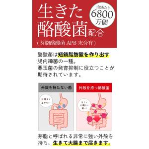 チュチュル アルロース珈琲+生きてる酪酸菌 60食の詳細画像4