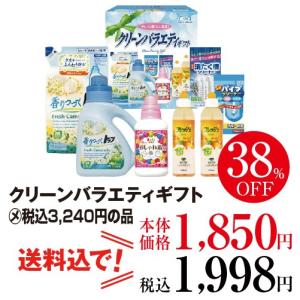 処分品＜無包装・のしなし＞送料無料 日用品 洗剤 ギフトセット クリーンバラエティギフト LDD-30A 504-05_4550283013144_5