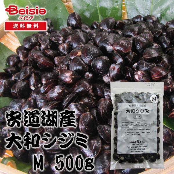 しじみの克ちゃん 宍道湖産ヤマトシジミ M 500g |  しじみ 宍道湖 健康食品 無添加 栄養価...