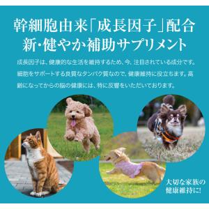 Dr.ST リライフ・ワン プラス 幹細胞由来...の詳細画像4