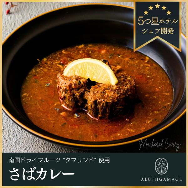 アルッガマゲのさばカレー(アーユルスパイス付)