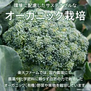Revege リベジ 国産オーガニック お米の...の詳細画像4