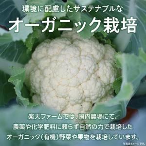 Revege 国産オーガニック お米の代わりに...の詳細画像4