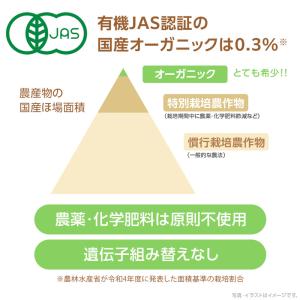 Revege 国産オーガニック お米の代わりに...の詳細画像5